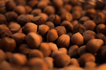 Free Photo of hazelnuts, food