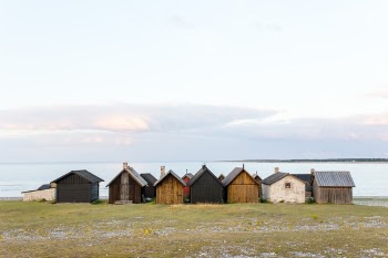 Free Photo of highland, green, grass