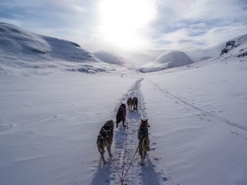 Free Photo of highland, mountain, path