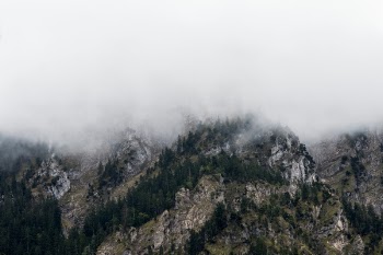 Free Photo of highland, mountain, trees