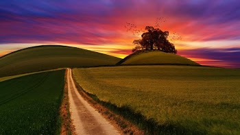 Free Photo of hills, farms, sunset