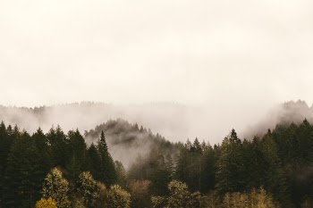 Free Photo of hills, pines, mountains