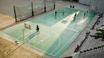 Free Photo of hobbies, sports, basketball