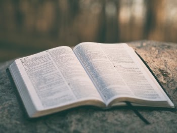 Free Photo of holy, book, bible