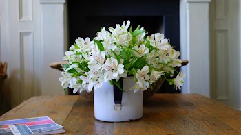 Free Photo of home, house, interior
