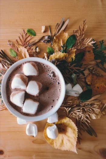Free Photo of hot, chocolate, drink