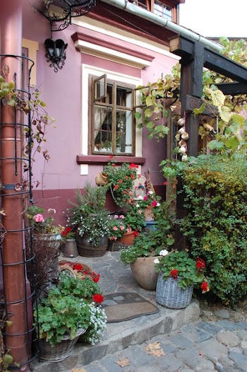 Free Photo of house, flower, no person