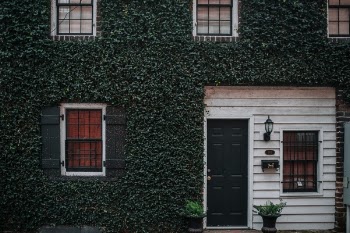 Free Photo of house, grass, plants