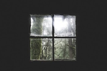 Free Photo of house, home, cabin