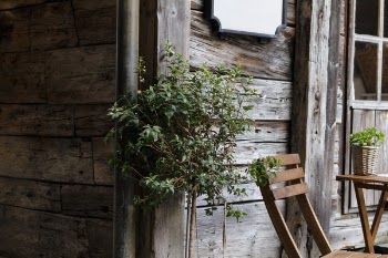 Free Photo of house, home, residence