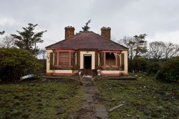 Free Photo of house, old, animal