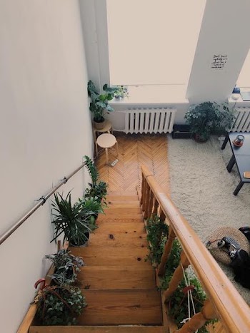 Free Photo of house, plants, stairs