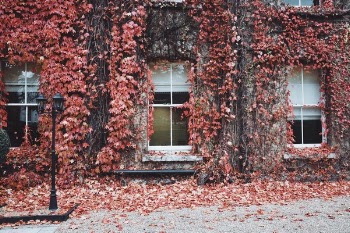 Free Photo of house, windows, glass