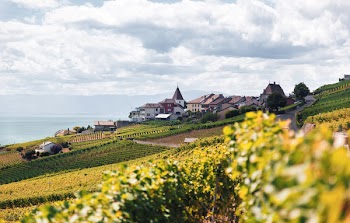 Free Photo of houses, building, village