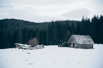 Free Photo of hut, shed, winter