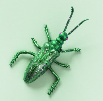 Free Photo of insect, nature, invertebrate