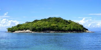 Free Photo of island, trees, green