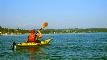 Free Photo of kayak, lake, water