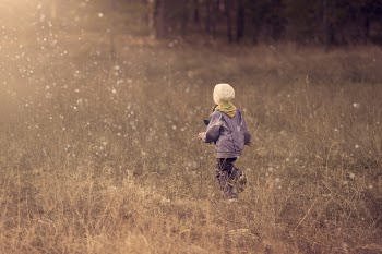 Free Photo of kid, child, girl