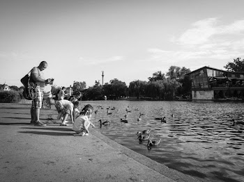 Free Photo of kids, children, ducks