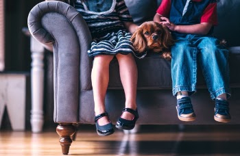 Free Photo of kids, children, friends