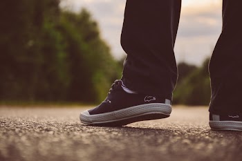 Free Photo of lacoste, shoes, sneakers