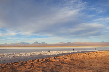 Free Photo of Laguna Cejar, Chile, water