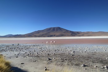 Free Photo of Laguna Colorada, Bolivia, landscape