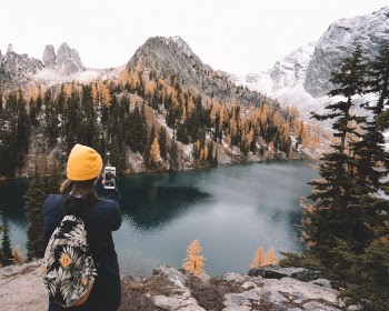 Free Photo of lake, water, tree