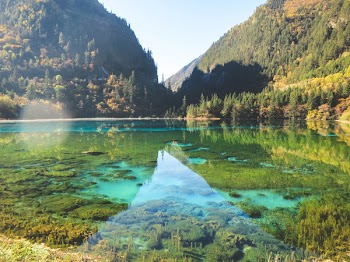 Free Photo of lake, water, trees