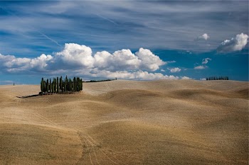 Free Photo of landscape, fields, dirt