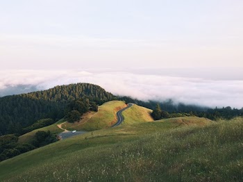 Free Photo of landscape, grass, hills