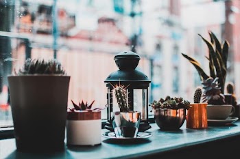 Free Photo of lantern, plants, window