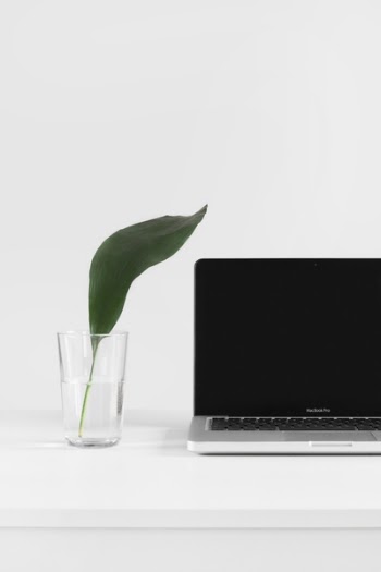Free Photo of laptop, apple, keyboard