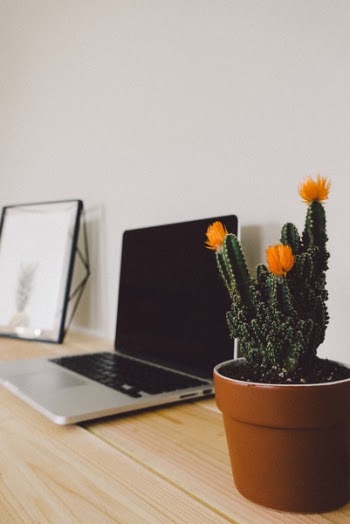 Free Photo of laptop, apple, keyboard