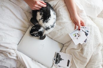 Free Photo of laptop, apple, macbook