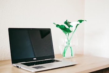 Free Photo of laptop, desk, flowers