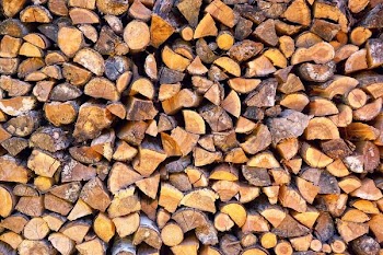 Free Photo of large, stack, firewood