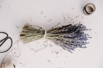 Free Photo of lavender, herb, bunch