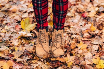 Free Photo of leaf, fall, autumn
