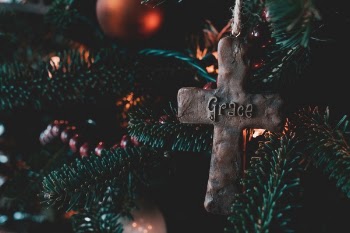 Free Photo of leaves, green, plant