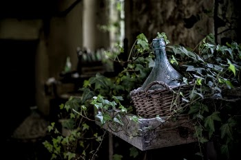 Free Photo of leaves, vines, basket