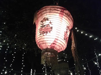 Free Photo of light, night, lamp