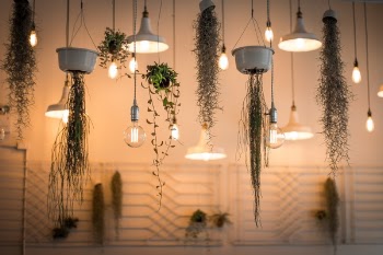 Free Photo of lights, lamp, design