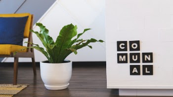 Free Photo of living, room, pillow