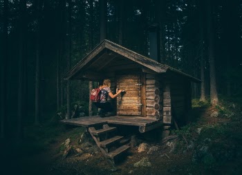 Free Photo of log, cabin, forest