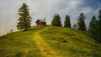 Free Photo of log cabin, hill, grass