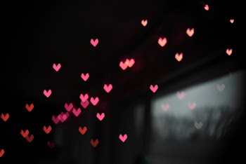 Free Photo of love, valentine's day, valentine
