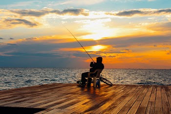 Free Photo of man, fishing, sunset