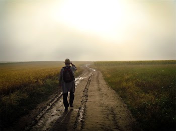 Free Photo of man, guy, walking